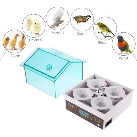Mini Incubateur Automatique pour Poulet Canard Fiche,Hatcher Couveuse 4 Oeufs (1/4)