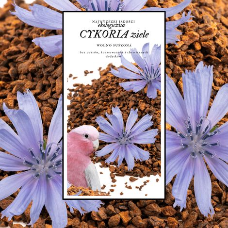 Cibo Premium per pappagalli - Cicoria biologica - per tutti i pappagalli 50 g (1/4)