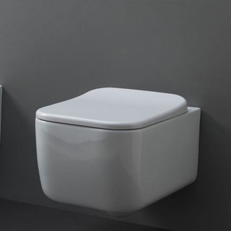 Vaso Wc Sospeso BRIO Sistema di Scarico Smart Clean - Chiusura Vaso Soft Close Ammortizzata - Design Elegante (1/4)