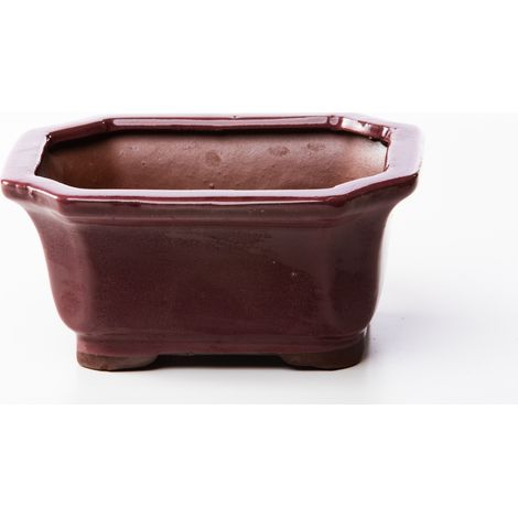 Vaso bonsai rettangolare 17 cm smaltato prugna (1/2)