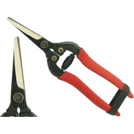 Forbici Ortofrutta Brixo Per Raccolta Uva Lama Retta In Acciaio 18Cm.