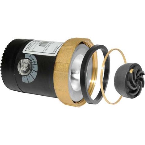 Lowara ecocirc PRO 00-1 /000 Servicemotor hocheffiziente Zirkulationspumpe 60A1D1001 (1/3)