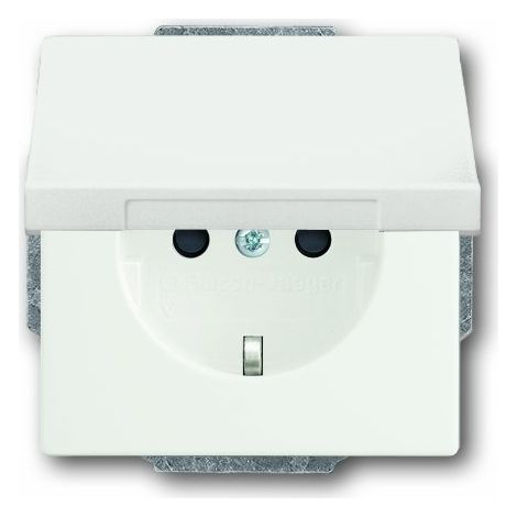 presa busch-jaeger 20 euk-884 termoplastica 16 A 250 V