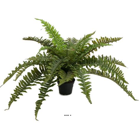 Fougère arborescente artificielle en pot, D 60 cm, H 35 cm (1/3)