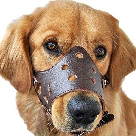 Muselière pour Chien - Taille L - Cuir Réglable - Anti-Aboiement - Anti-Morsure (1/4)