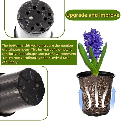 Lot de 50 Pots de Pépinière 3,8L, Pots en Plastique Réutilisables pour Semis et Rempotage, Jardinage Intérieur et Extérieur (1/2)