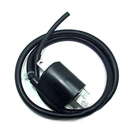 Bobina di accensione anteriore Tourmax da 12V (IGN-310)