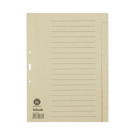 Ordnerregister DIN A4 blanko Papier chamois 20 Registerblätter (1/4)