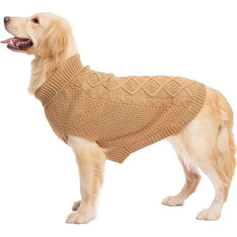 Ensemble deux pièces pour chien : pull d'hiver uni (1/5)