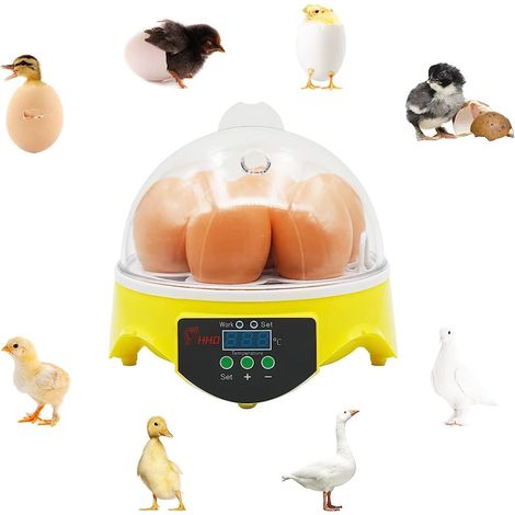 Eier-Inkubator, 7 Eier, Brutkasten, Küken-Inkubator, Temperaturregelung mit digitaler LED-Anzeige, Brutkasten für Hühner, Wachteln, Enten, Gänse, Geflügel
