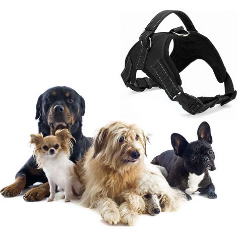 Pettorina Cane Imbracatura Nera Animali Taglia Media Cinghie Regolabili (1/5)