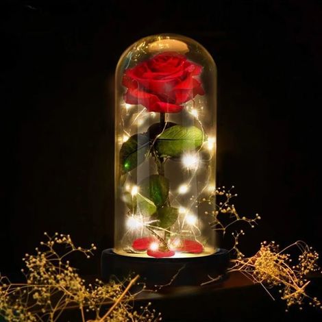 Coffret cadeau Rose La Belle et la Bête, lampe rose artificielle sous dôme en verre, socle en bois, lumière LED, décoration intérieure, cadeau pour la Saint-Valentin, la fête des mères, Noël, un anniv (1/4)