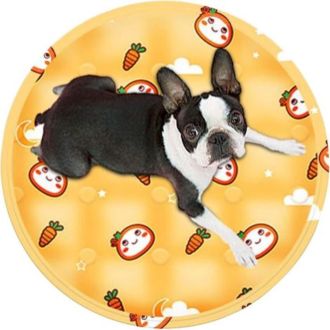 Tapis Rafraîchissant pour Chats, Lit De Refroidissement pour