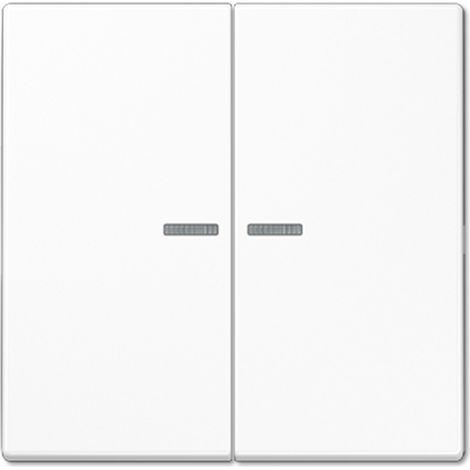 JUNG HOME Pulsador 2 vías, con guía de luz, duroplástico, serie LS, blanco alpino BT LS 17102 WW