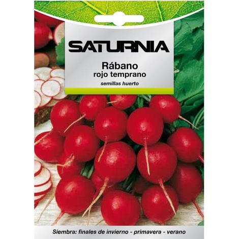 Semillas Rabano Rojo Temprano (8 gramos) Semillas Verduras, Horticultura, Horticola, Semillas Huerto.