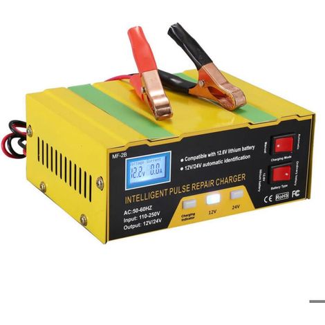 Chargeur de batterie 12 V à impulsions intelligentes avec affichage électronique (norme européenne) (1/5)