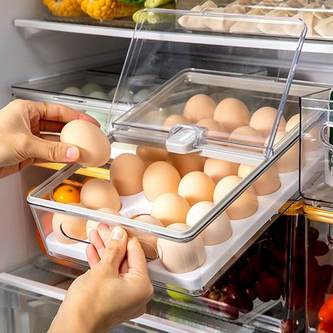 Contenitore per uova da frigorifero, contenitore per uova in plastica per frigorifero, 24 cestini per uova, contenitore per uova da frigorifero con coperchio antipolvere e maniglia (grigio) (1/5)