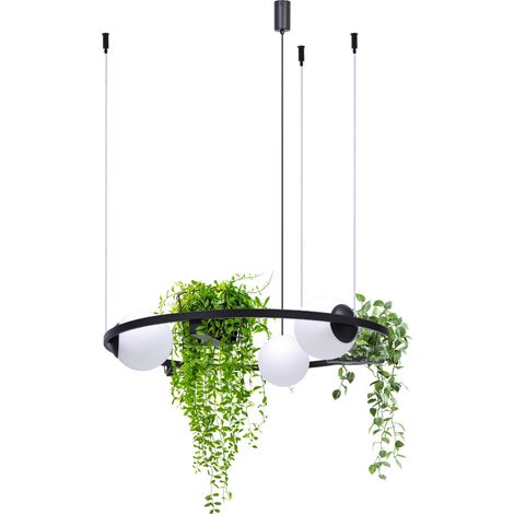 Suspension PLANT Zuma Line noire 3 globes blancs E27 (1/4)