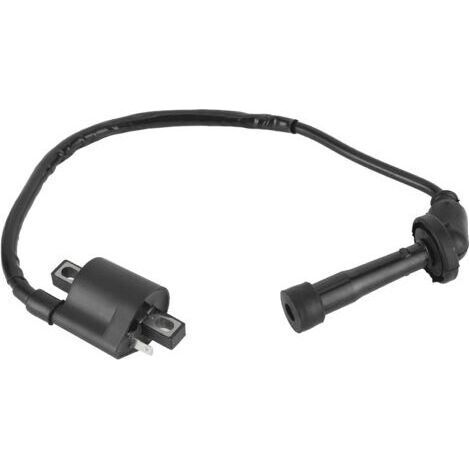 Bobine d'allumage pour Grizzly 660 YFM660 2002 2003 2004 2005 2006 2007 2008 Pièces de VTT (1/4)