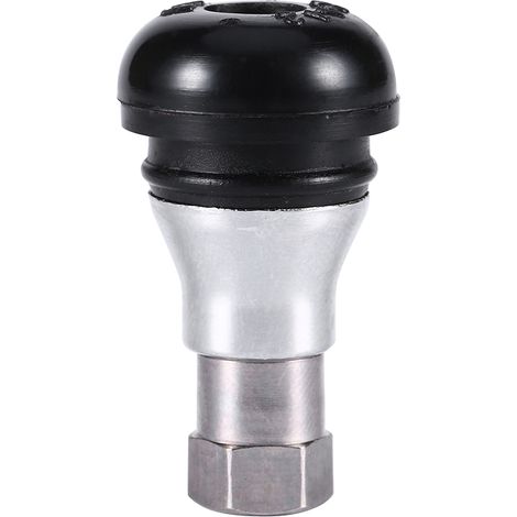 TR412 Valve de Pneu en Laiton Chromé pour Voitures et Motos - Sans Chambre (1/5)