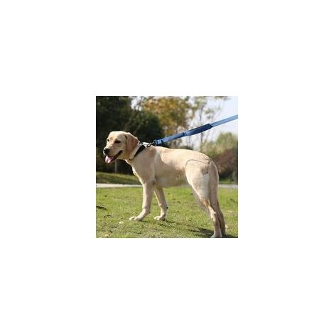 Correa para perros con asa acolchada y cómoda, 150 cm. Reflectante en ambos lados con guía de alambre integrada, fabricada en nylon resistente al desgarro, para perros medianos y grandes. - Crezuo