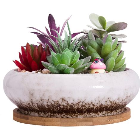 Pot de Fleurs, Grand Pot de Succulentes de 15,5 Cm avec Drainage Pot Rond de Bonsaï et Plateau Pot en Céramique pour Plantes de Cactus (1/5)