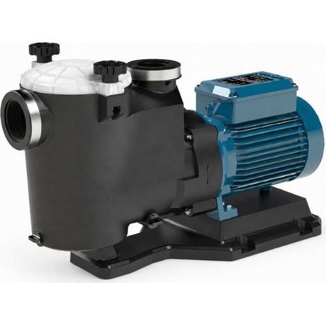 Pompa autoadescante per piscina Calpeda da 0.5 CV con prefiltro (1/3)