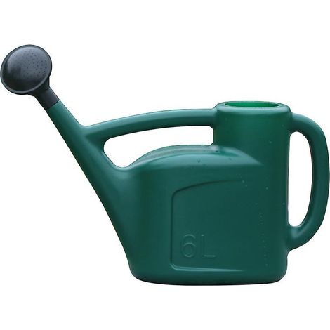 Arrosoir léger vert - Utilisation intérieure et extérieure avec pommeau d'arrosage amovible - Capacité de 6 L (1/5)