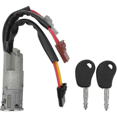 Barillet de contact Citroën 252521 avec clés - Pièce de rechange pour AX, Berlingo, Evasion, Jumpy, Saxo, Xantia, Xsara (1/5)