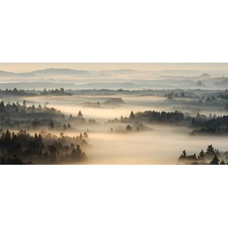 Tableau sur verre synthétique brume matinale 65x145 cm - Impression sur Verre synthétique - Image HD  imprimée sur Verre synthétique - Tableau mural décoratif - Fabriqué en France (1/4)
