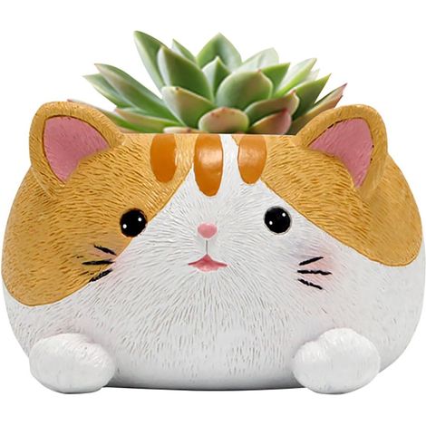 Petits pots de fleurs mignons avec drainage - 10 cm - En résine - Pour plantes grasses, cactus - Pour jardin, maison, bureau (1/5)