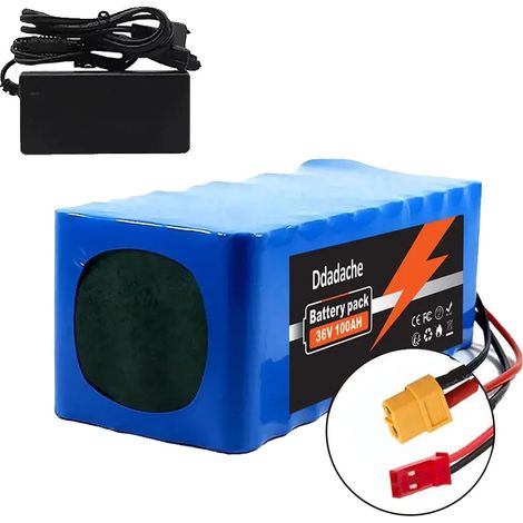 Batterie Lithium, Capacité 100Ah, BMS Inclus, XT60-JST-chargeur (1/2)