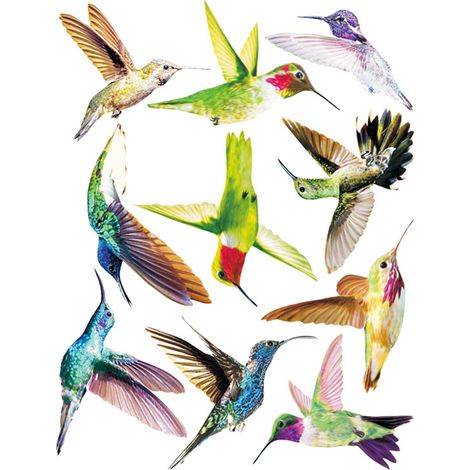 BEBUSINGOTO Lot de 2 autocollants oiseaux - Autocollants statiques repositionnables - Protège contre les chocs d'oiseaux et les chocs sur les vitres - Impression haute résolution - Résistant à l'eau (1/5)