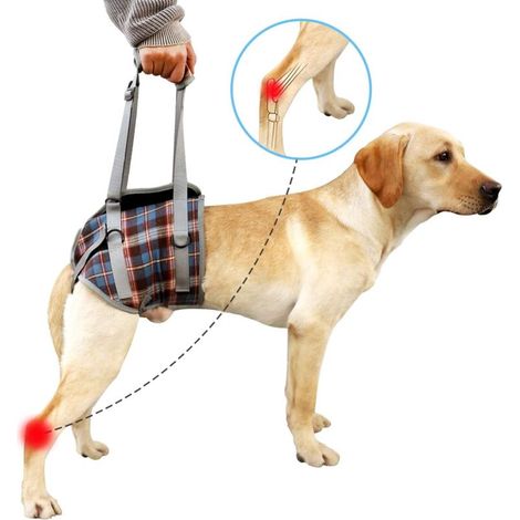 Arnés de soporte para perros, soporte para las patas traseras de las mascotas, arnés de elevación ajustable, correa de recuperación para perros, arnés de rehabilitación, ayuda para caminar para perros (1/5)