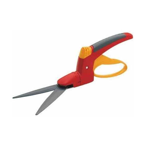 Scalpello Ri-Ll Comfort 73Aja003650 (A 6) (1/3)