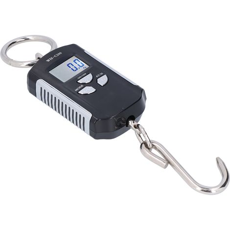 Balance pour grue 200 kg, crochet de lestage suspendu robuste Steelyard, portable, électronique, rétroéclairage HD (argent et noir)