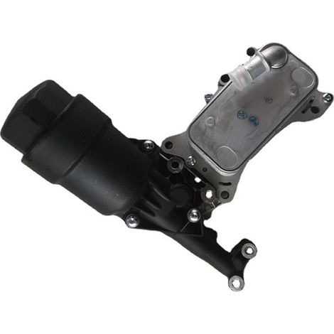 6511801310 6511800610 Ensemble filtre à huile compatible avec Benmei (1/4)