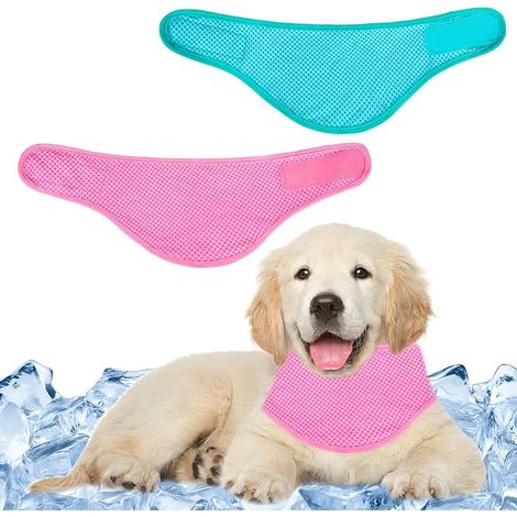 Bandana Rafraîchissant pour Chien, Collier Rafraîchissant pour Chien, Refroidisseur à Glace d'Extérieur Léger et Portable Réglable pour Animaux en été - Aide à Prévenir la Surchauffe (1/5)