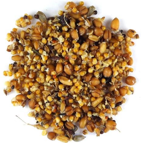 Claus Keimfutter - Germogli naturali per parrocchetti e altri piccoli papua 210 ml (1/3)