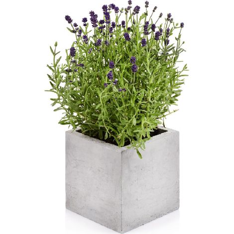 Beske-Manufaktur Beton Blumentopf Kubik M 17x17x17cm Pflanztopf Blumenkübel Pflanzgefäß (1/5)