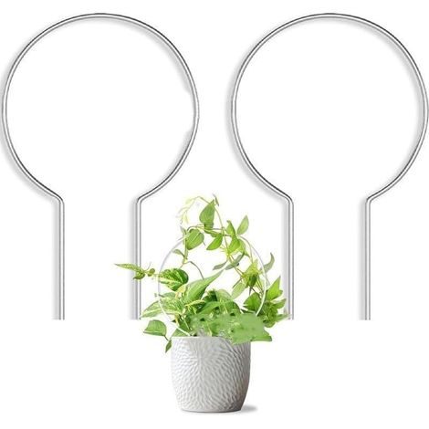 Lot de 2 cadres de support pour plantes grimpantes en acrylique pour améliorer la croissance des plantes grimpantes et la présentation dans les jardins et les maisons (1/5)