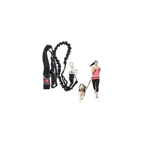 Laisse mains libres pour chien, course à pied, absorbant les chocs, extensible - Ceinture réglable - Pour courir, faire du jogging ou marcher-Enlé