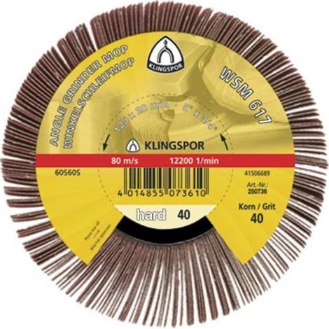 KLINGSPOR Schleifmopräder WSM 617 115 x 20 MM, Set of 2 / Granulation 40 277014