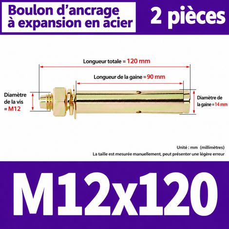 Goujon d'ancrage cheville métallique M12x120 mm lot de 2 m12 120 2 pièces 1 kg – Livraison gratuite