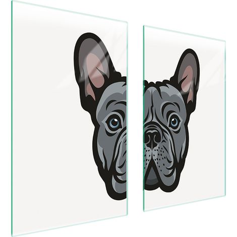 PIASTRA PROTETTIVA IN VETRO PER STUFA 75x52 CANE (1/5)