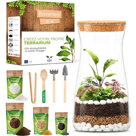 Kit Terrarium Plante DIY avec Verre - Kit Prêt-à-Pousser pour la Création de Jardin en Bouteille - Set pour Faire Pousser (sans la Plante) (1/2)