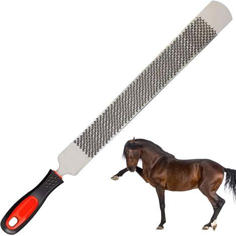 Râpe à sabots de 20 cm, en acier au carbone, ble face avec manche, tête ronde, outil de soin des sabots (1/5)