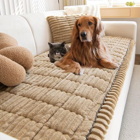 Sofa cover, Corduroy Sofa cover for 2, 3, or 4 seater sofas, Washable, non-slip dog sofa cover, Protective cover for the living room (90x210cm, Cafe) (1/5)