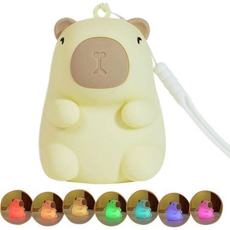 Sac lumineux Mini, Portable, Veilleuse Rechargeable USB (1/5)