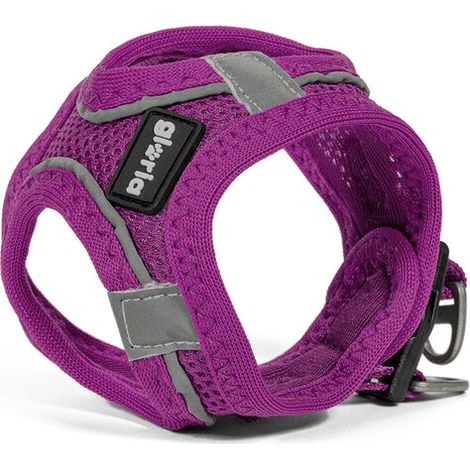 Imbracatura per Cani Gloria Trek Star 24-26 cm 28-28,6 cm Viola XXS (1/5)